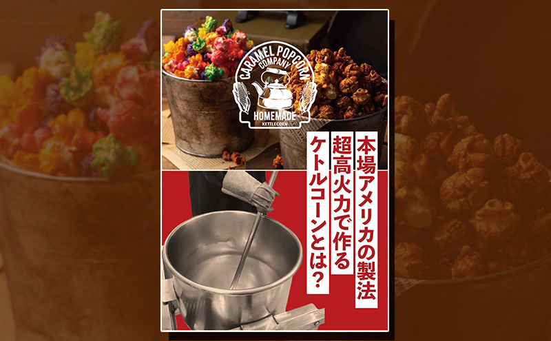 とにかく濃い！二度漬け！キャラメルポップコーン！×1 ポップコーン キャラメル スイーツ 菓子 かわいい おしゃれ プレゼント ギフト 大田区 東京都