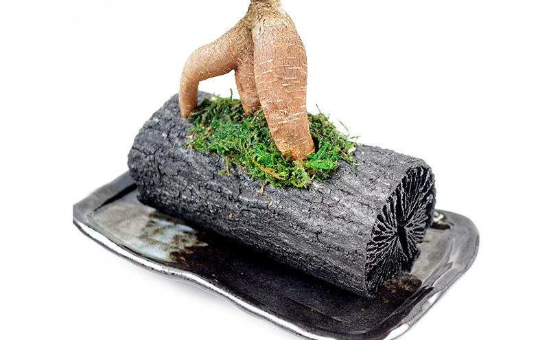 轤ュ闃ア螢 隕ウ闡画、咲黄シ医ぎ繧ク繝・繝槭Νシ芽ヲウ闡画、咲黄 繧、繝ウ繝繝ェ繧「 縺翫@繧繧 繝励Ξ繧シ繝ウ繝医ぐ繝輔ヨ 雍医j迚ゥ螟ァ逕ー蛹コ 譚ア莠ャ驛ス