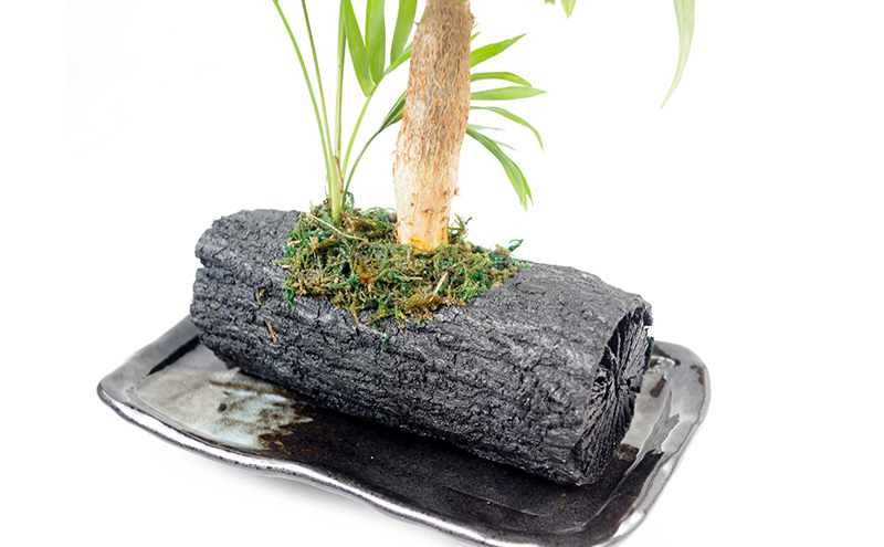 轤ュ闃ア螢 隕ウ闡画、咲黄シ医ヱ繧ュ繝ゥシ芽ヲウ闡画、咲黄 繧、繝ウ繝繝ェ繧「 縺翫@繧繧 繝励Ξ繧シ繝ウ繝医ぐ繝輔ヨ 雍医j迚ゥ螟ァ逕ー蛹コ 譚ア莠ャ驛ス