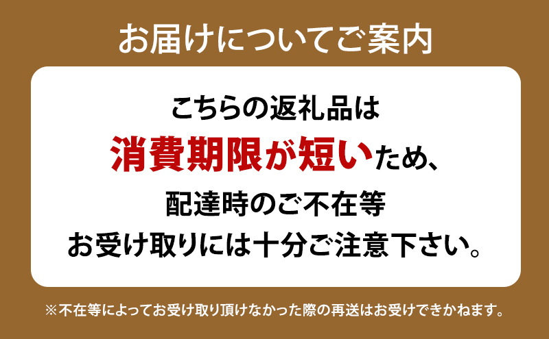 高級デニッシュ食パン「MIYABI」 ミヤビパン プレーン2斤 3本セット　パン 食パン 高級食パン デニッシュ食パン ふんわり しっとり もっちり 宮家献上品 朝食 直営工場 羽田 東京