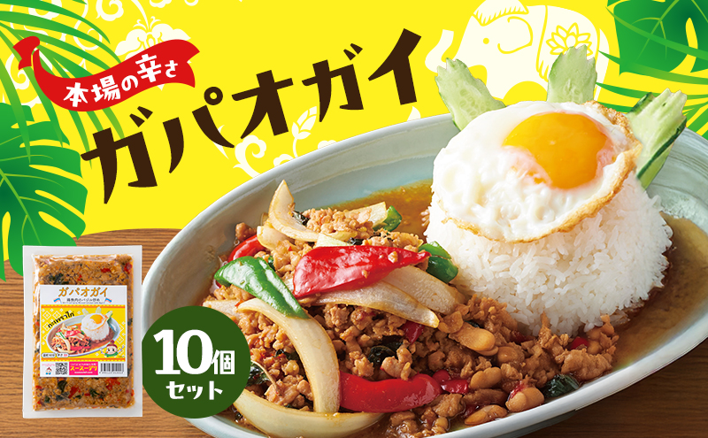 タイ料理 ガパオガイ10個セット（本場の辛さ） 温めるだけ メインディッシュ 本場 大田区 東京都