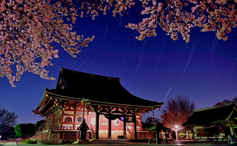 【電子クーポン券】 大田区に泊まる ふるさと納税 旅行クーポン 【15,000円分】 有効期限：発行から1年間 旅行 ツアー 宿泊 観光 国内 チケット 割引券 クーポン 利用券 電子 トラベル 日本空輸  都内 東京 大田区