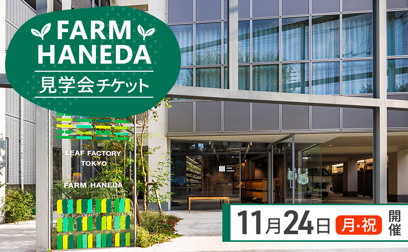 チケット 東京 【11/24(月・祝)開催】FARM HANEDA見学会チケット 見学 収穫 体験 体験チケット 植物工場 野菜 栽培 レタス ラディッシュ サラダホウレンソウ 大田区 東京都