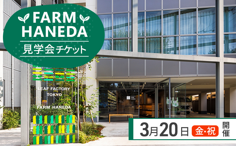 チケット 東京 【3.20(金・祝)開催】FARM HANEDA見学会チケット 見学 収穫 体験 体験チケット 植物工場 野菜 栽培 レタス ラディッシュ サラダホウレンソウ 大田区 東京都