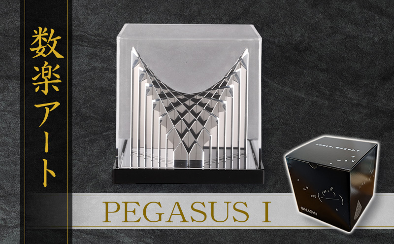 数楽アート PEGASUSI アート オブジェ ステンレス製 金属加工 立体グラフ 多変数関数 2変数関数 熟練 職人 手作業 ステンレス鋼板 光のハーモニー 理 美しさ ユニーク 東京都 大田区
