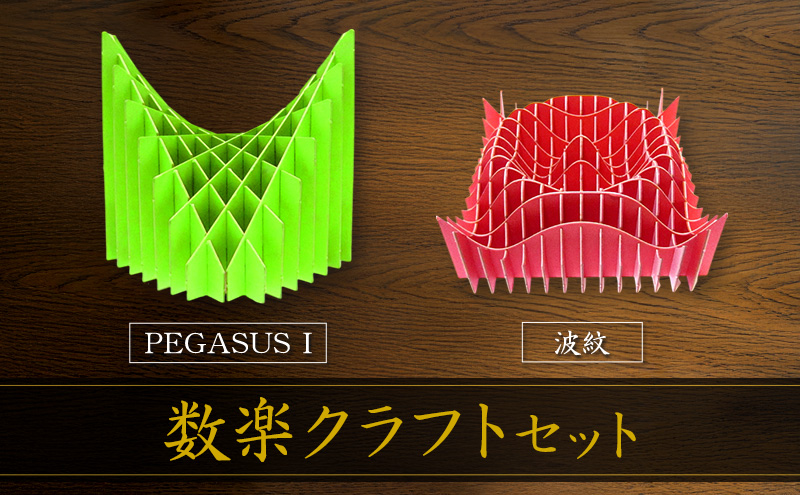 数楽クラフトセット PEGASUSI 波紋 2つの2変数関数のセット 数楽アート 数楽クラフト 組み立て 数学 数式の美しさ 馬の鞍 三角関数 アート オブジェ 立体グラフ 多変数関数 2変数関数 ユニーク 東京都 大田区