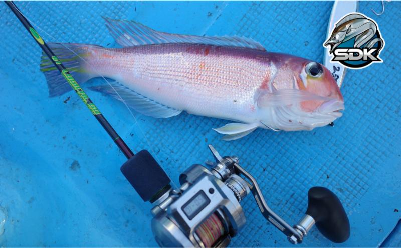 アルミの総切削釣具『SDK RA85A　オシコン300、301対応ハンドルアーム』METAL Color　釣り 釣り具 ハンドルアーム アルミニウム カスタム カスタムパーツ 日本製 セキダイ工業 東京 大田区