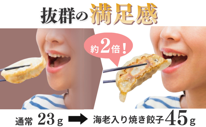 焼き餃子 羽田名物 海老入り焼き餃子 （20個入り）餃子 ぎょうざ ギョウザ 海老 本格餃子 冷凍 おかず 惣菜 中華 手包み 豚バラ肉 11種のスパイス ニンニク不使用 大田区 東京都