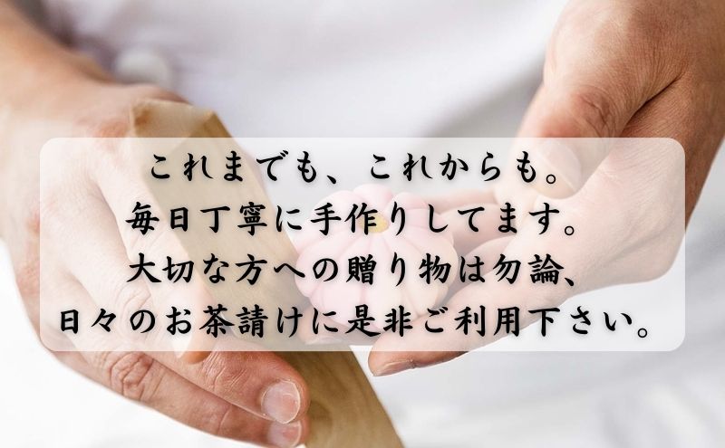 三原堂名物　塩せんべい 45枚入 お菓子 煎餅 
