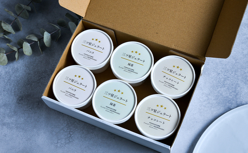 世界中の人たちが食べられる！VEGAN対応乳酸菌入り「三ツ星ジェラート」定番6個セット（バニラ×2、チョコ×2、抹茶×2）ジェラート セット アイス スイーツ 豊島区 東京