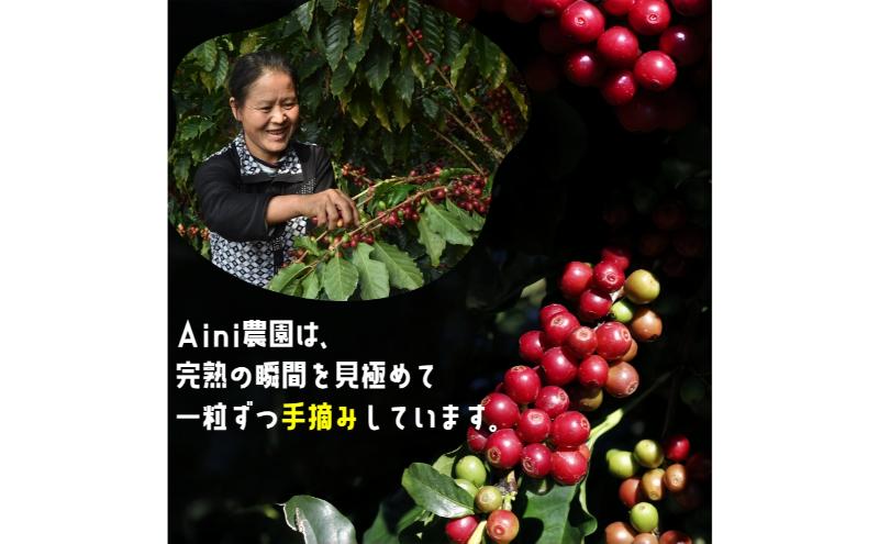 【100g×3袋】雲南コーヒー 焙煎度 3種 飲み比べ ＆ オリジナルブレンド作成キット コーヒー コーヒー豆 豆 珈琲 飲み物 飲料 飲み比べ 東京 豊島区