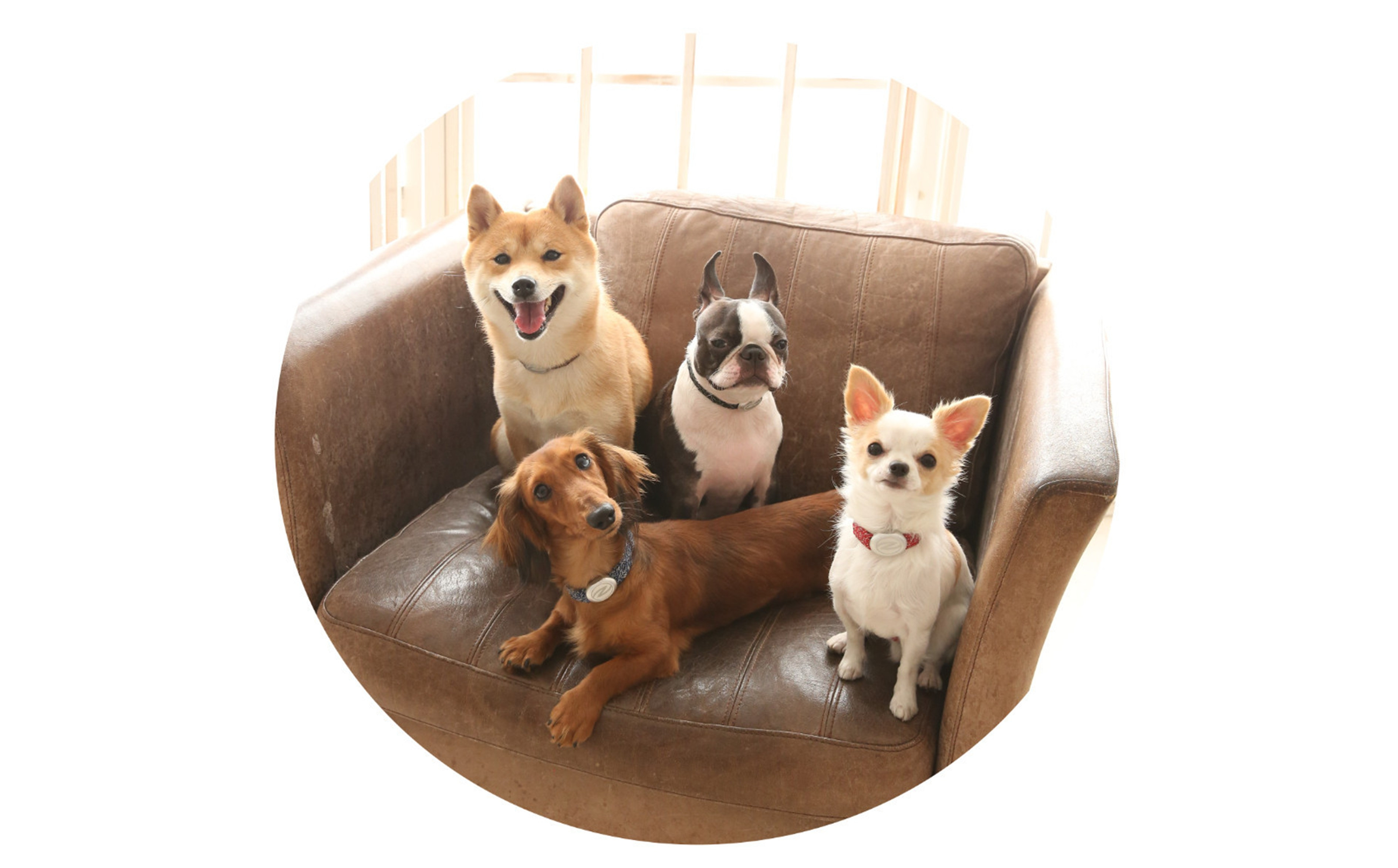 縲心ize繧ェ繝シ繝繝シ縺ゅj縲代じ繧ェ繝ゥ繝ォ繝サ繝ェ繧ォ繝舌Μ繝シホア繝舌Φ繝 GR/SIス懈ィェ豬懷ク 鬮俶ゥ溯ス繝舌Φ繝 繝壹ャ繝医い繧ッ繧サ繧オ繝ェ繝シ繧偵#蟶梧悍縺ョ繧オ繧、繧コ縺ァ繧ェ繝シ繝繝シ繝。繧、繝