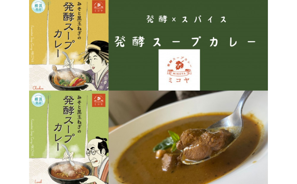 レトルト発酵スープカレー食べ比べセット【極み】