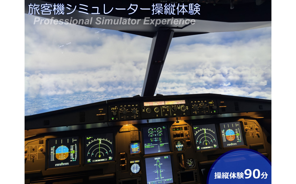 A320フライトシミュレーター90分操縦体験