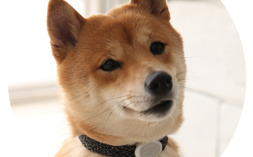 縲心ize27cm縲代じ繧ェ繝ゥ繝ォ繝サ繝ェ繧ォ繝舌Μ繝シホア繝舌Φ繝 BK/SIス懈ィェ豬懷ク 鬮俶ゥ溯ス繝舌Φ繝 繝壹ャ繝育畑繧「繧ッ繧サ繧オ繝ェ繝シ