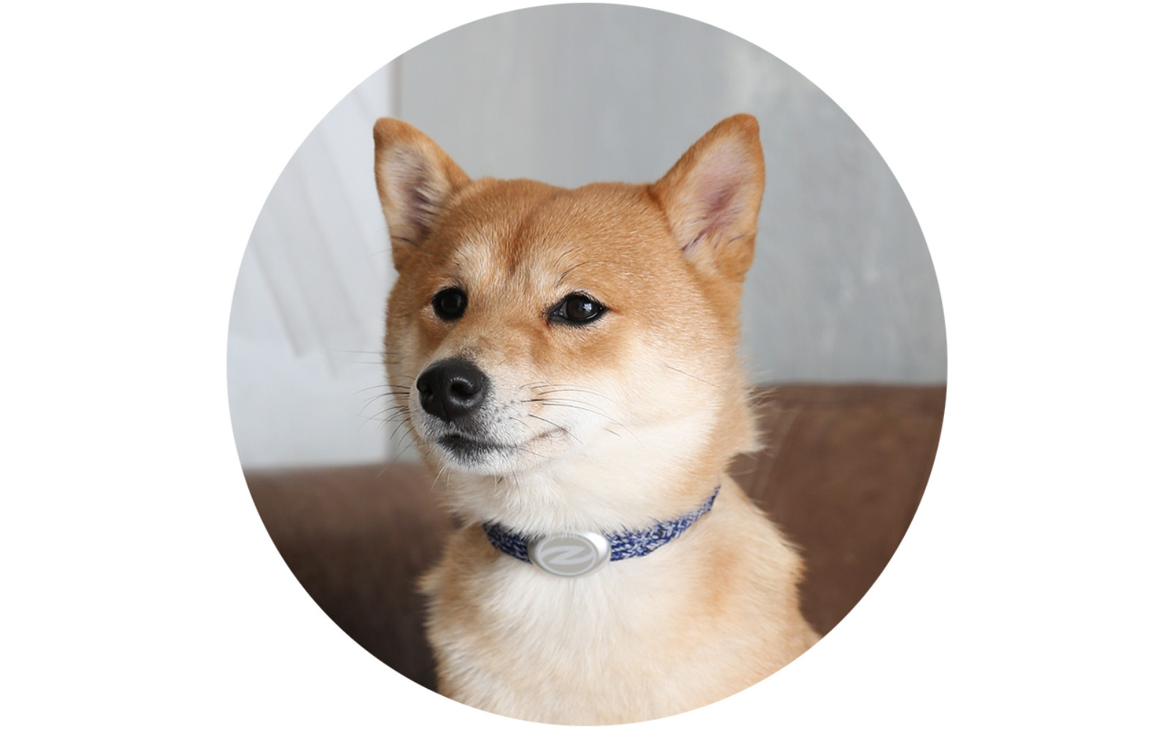 縲心ize繧ェ繝シ繝繝シ縺ゅj縲代じ繧ェ繝ゥ繝ォ繝サ繝ェ繧ォ繝舌Μ繝シホア繝舌Φ繝 NV/SIス懈ィェ豬懷ク 鬮俶ゥ溯ス繝舌Φ繝 繝壹ャ繝医い繧ッ繧サ繧オ繝ェ繝シ繧偵#蟶梧悍縺ョ繧オ繧、繧コ縺ァ繧ェ繝シ繝繝シ繝。繧、繝