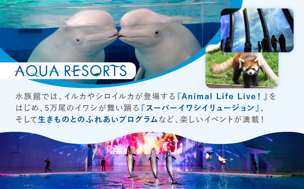 横浜・八景島シーパラダイス　ワンデーパス（水族館4施設＋アトラクション）大人2名さま＋小中学生2名さま