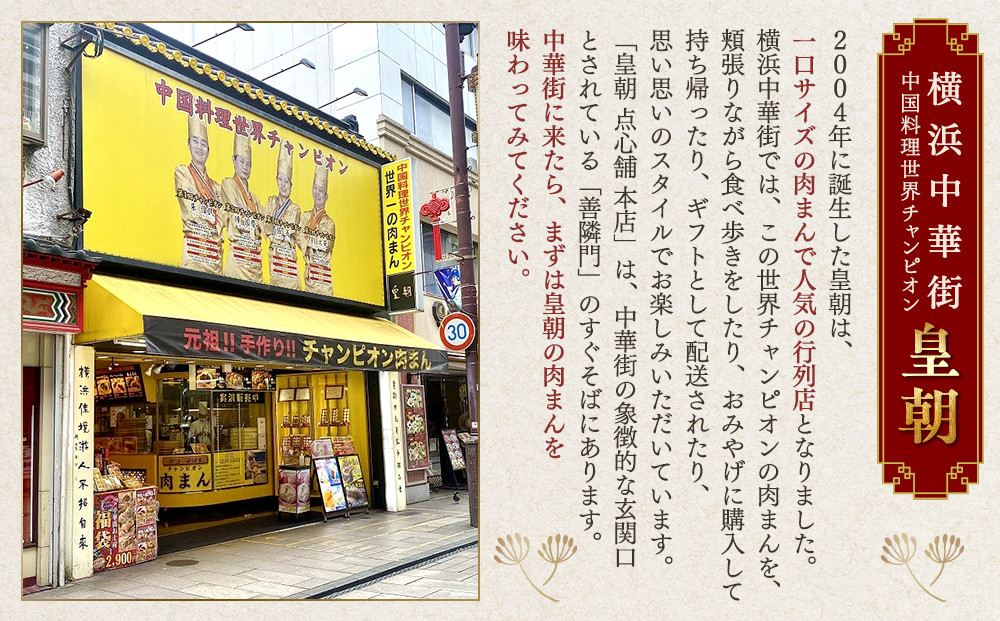 中華点心詰合せE（6種 計61個）＜横浜中華街 皇朝＞｜肉まん シューマイ シウマイ あんまん  中華 中華料理 横浜中華街 人気中華 おすすめ中華 点心 点心セット 点心詰合せ 点心おすすめ 飲茶 飲茶セット お取り寄せ 送料無料 神奈川県 横浜市