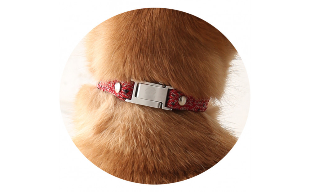 【Sizeオーダーあり】ザオラル・リカバリーαバンド RD/SI｜横浜市 高機能バンド ペットアクセサリーをご希望のサイズでオーダーメイド