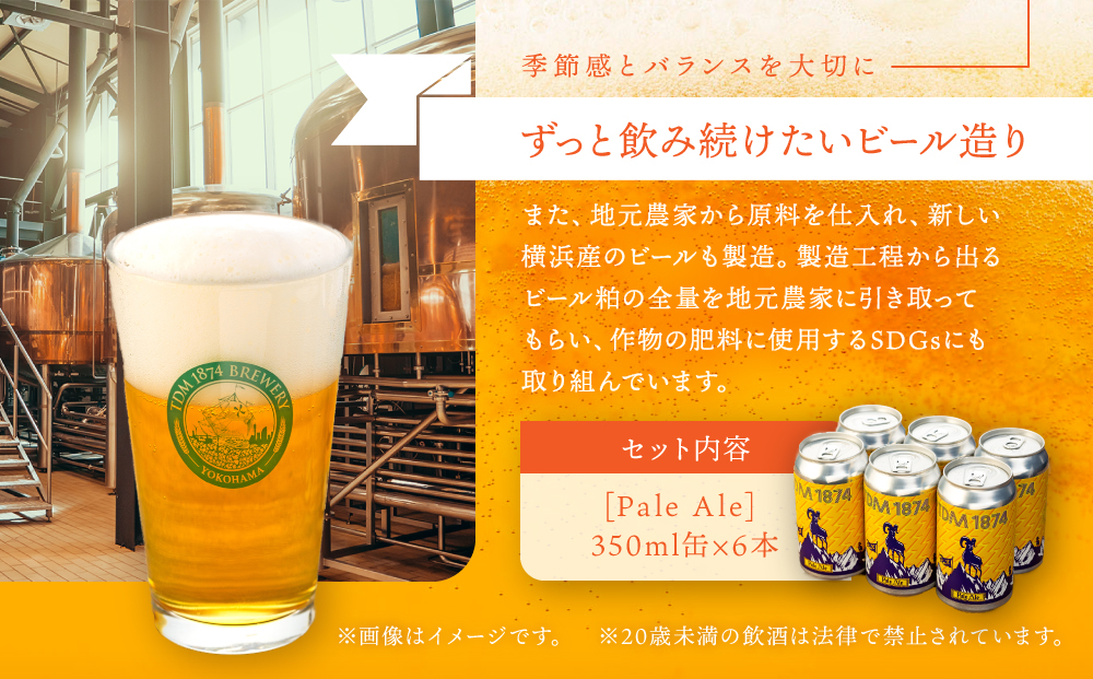 TDM 1874 Brewery クラフトビール Pale Ale ペールエール (350ml×6本)【お酒・地ビール・酒】