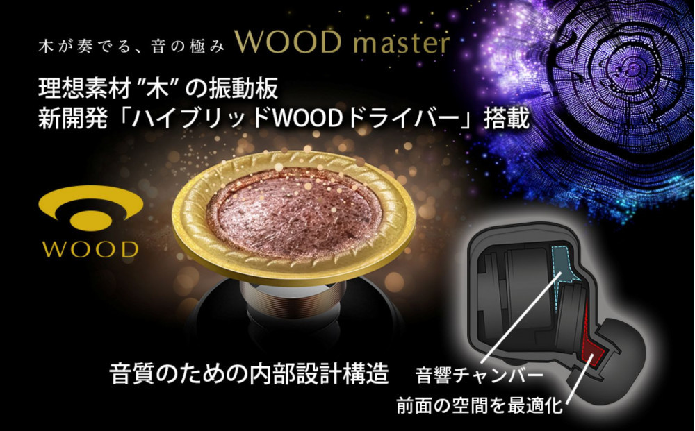 【ピアノブラック】Victor ワイヤレスイヤホン HA-FW5000T