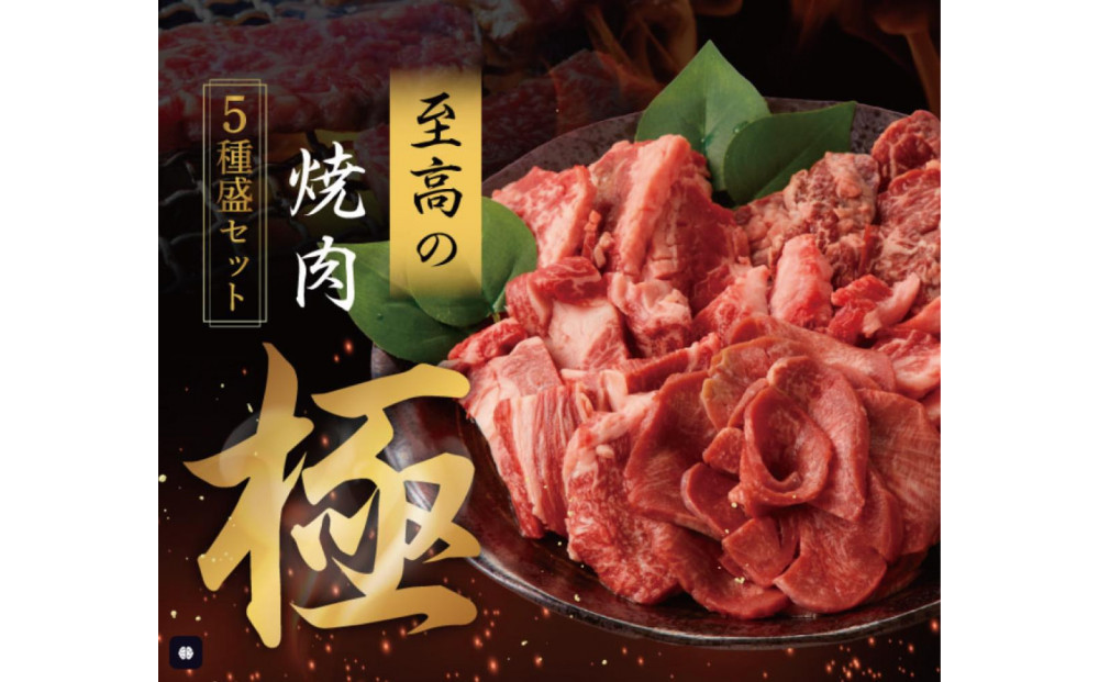 至高の焼肉　極　5種盛りセット　合計500g