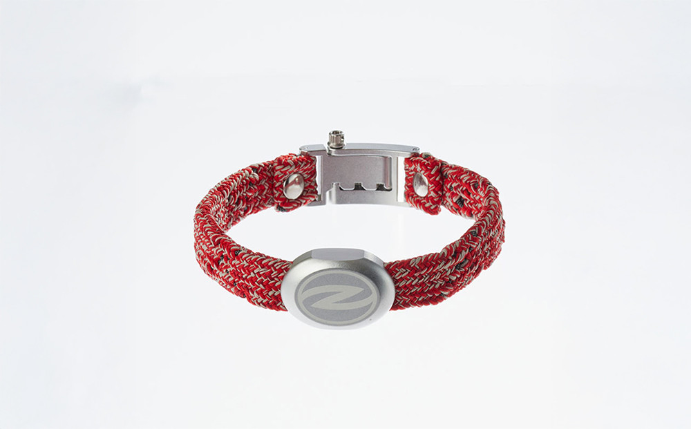 【Size31cm】ザオラル・リカバリーαバンド RD/SI｜横浜市 高機能バンド ペット用アクセサリー