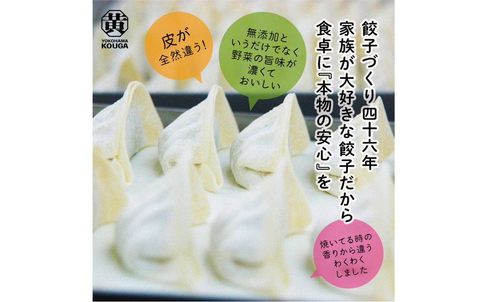 ã ããããã®æšªæ¿±é»æ²³ ãéèãã£ã·ãïŒå·åçé€å ãã¬ãŒã³50å