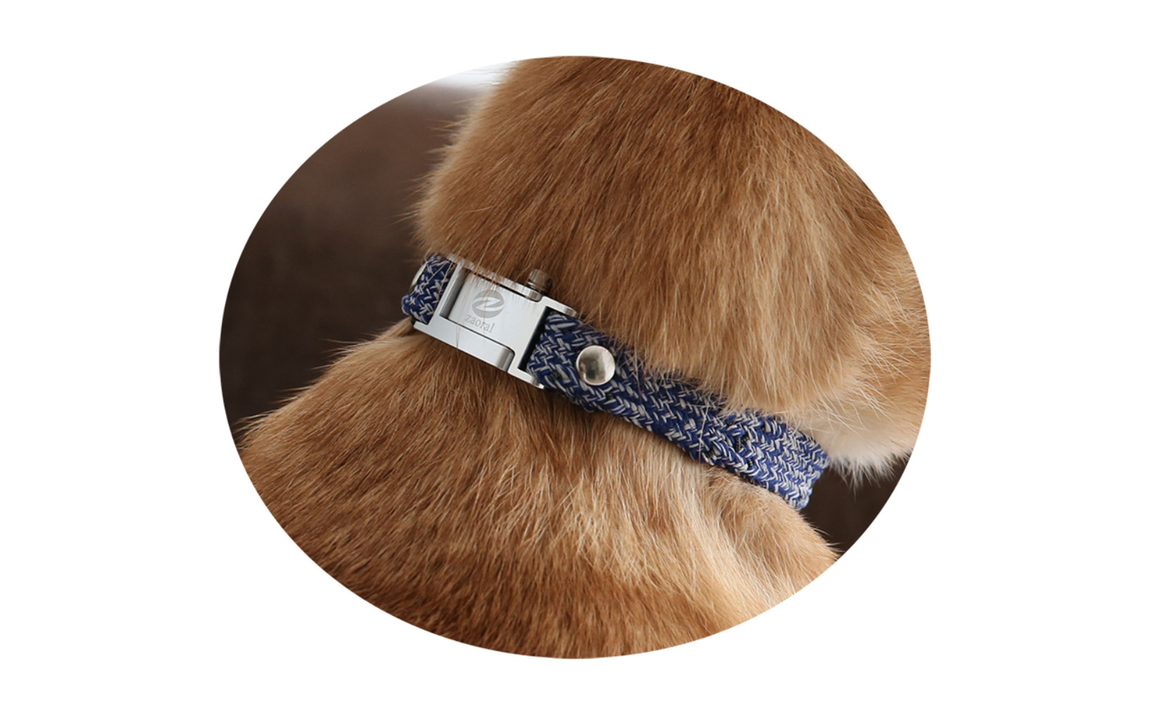 縲心ize繧ェ繝シ繝繝シ縺ゅj縲代じ繧ェ繝ゥ繝ォ繝サ繝ェ繧ォ繝舌Μ繝シホア繝舌Φ繝 NV/SIス懈ィェ豬懷ク 鬮俶ゥ溯ス繝舌Φ繝 繝壹ャ繝医い繧ッ繧サ繧オ繝ェ繝シ繧偵#蟶梧悍縺ョ繧オ繧、繧コ縺ァ繧ェ繝シ繝繝シ繝。繧、繝