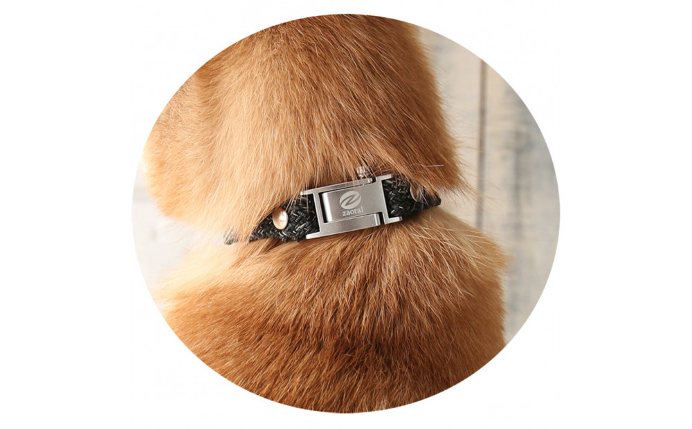 縲心ize29cm縲代じ繧ェ繝ゥ繝ォ繝サ繝ェ繧ォ繝舌Μ繝シホア繝舌Φ繝 BK/SIス懈ィェ豬懷ク 鬮俶ゥ溯ス繝舌Φ繝 繝壹ャ繝育畑繧「繧ッ繧サ繧オ繝ェ繝シ