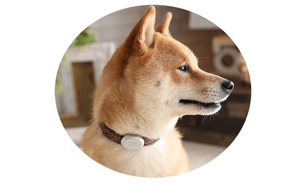 ãSize29cmãã¶ãªã©ã«ã»ãªã«ããªãŒÎ±ãã³ã BR/SIïœæšªæµåž é«æ©èœãã³ã ãããçšã¢ã¯ã»ãµãªãŒ