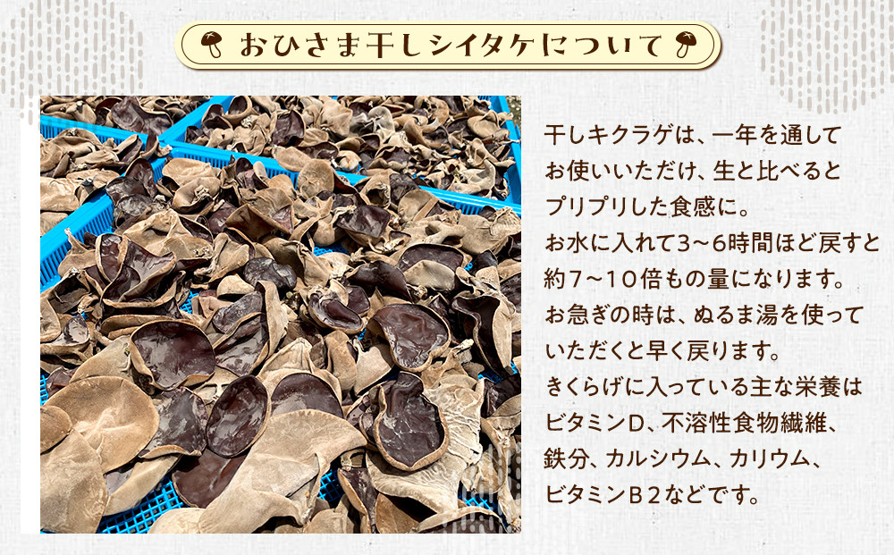 氞島蟲åããã²ããŸå¹²ããã¯ã©ã²70ïœå
¥ãè¢ Ã2è¢