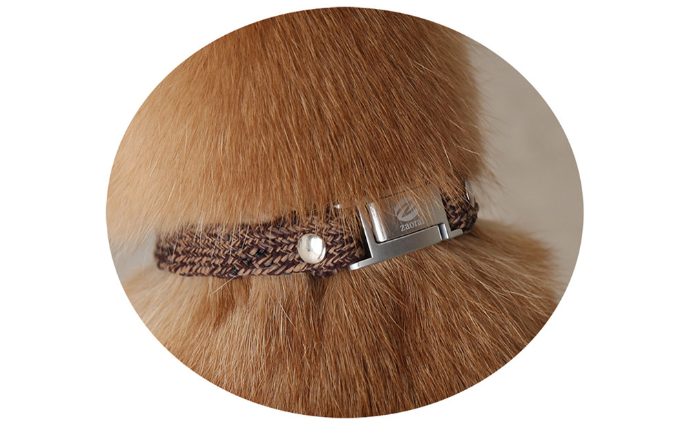 【Size31cm】ザオラル・リカバリーαバンド BR/SI｜横浜市 高機能バンド ペット用アクセサリー