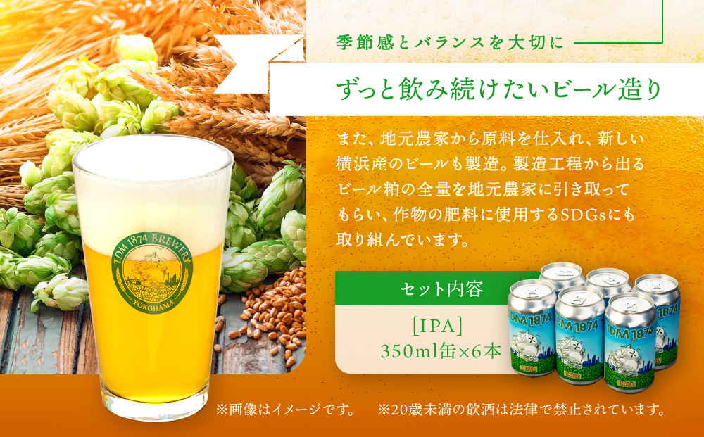 TDM 1874 Brewery クラフトビール　IPA（350ml×6本）【お酒・地ビール・酒】  数々の審査会で金賞受賞！