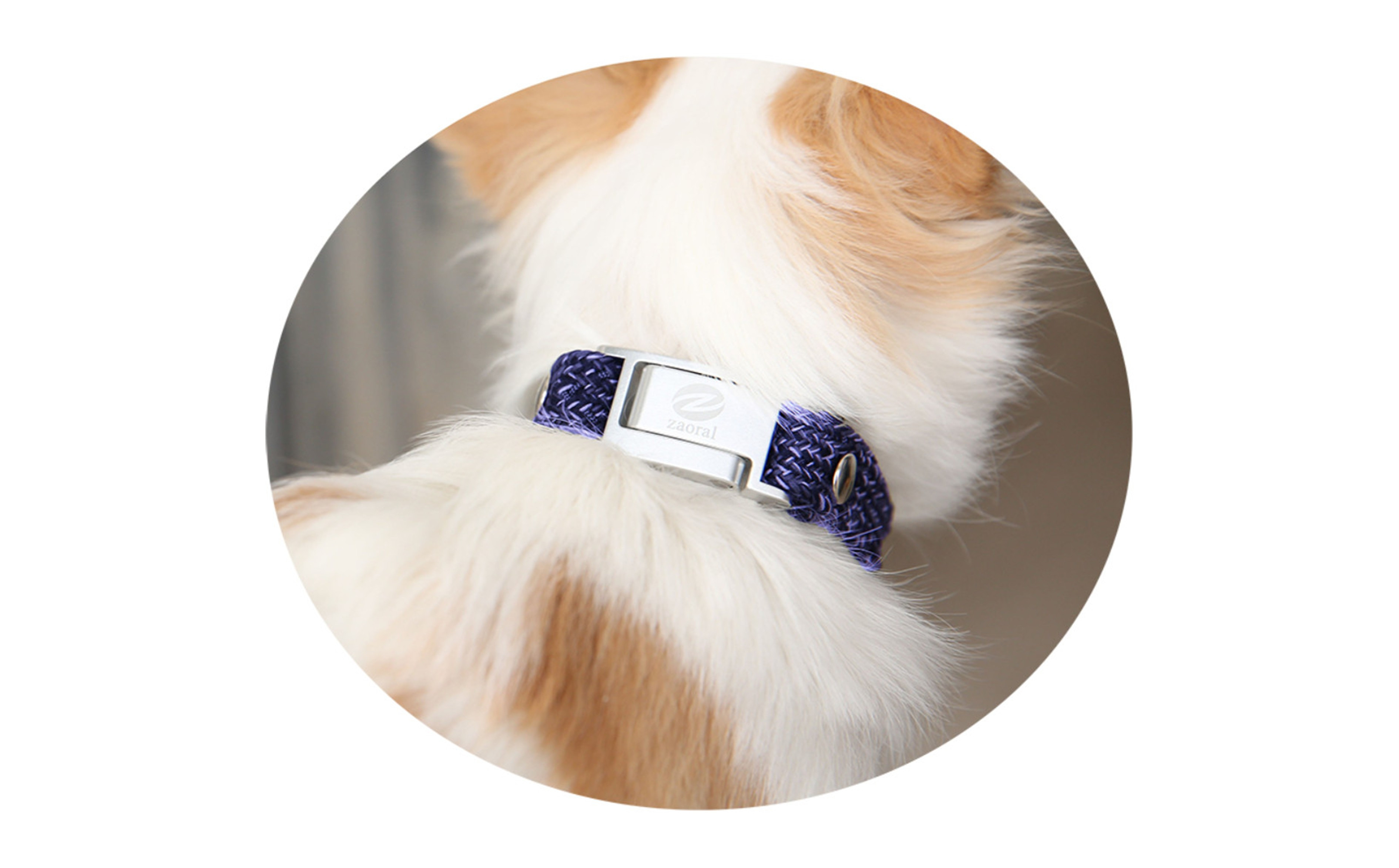 縲心ize25cm縲代じ繧ェ繝ゥ繝ォ繝サ繝ェ繧ォ繝舌Μ繝シホア繝舌Φ繝 NV/SIス懈ィェ豬懷ク 鬮俶ゥ溯ス繝舌Φ繝 繝壹ャ繝育畑繧「繧ッ繧サ繧オ繝ェ繝シ