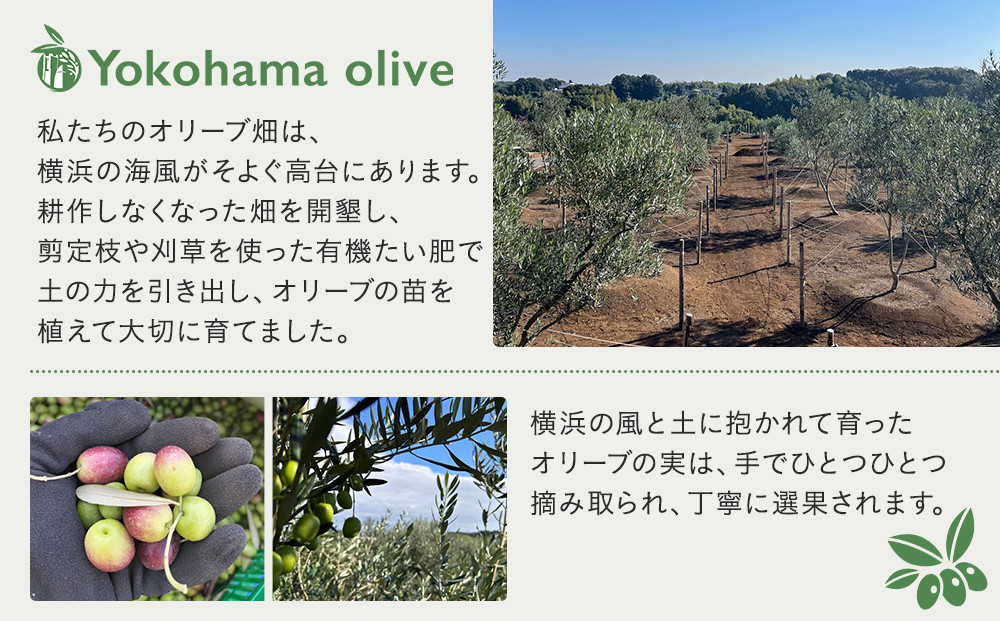 横浜オリーブ　No.3グリーントスカーナ　エクストラバージンオリーブオイル120ml