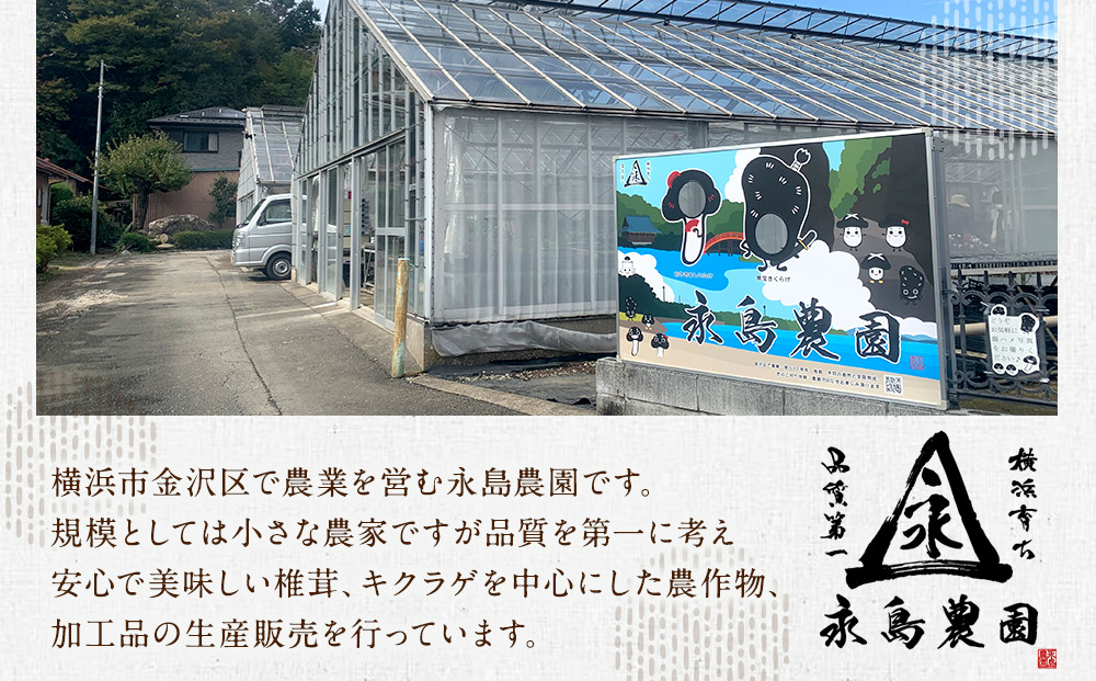 永島農園 おひさま生キクラゲ500ｇ入り袋×2袋セット