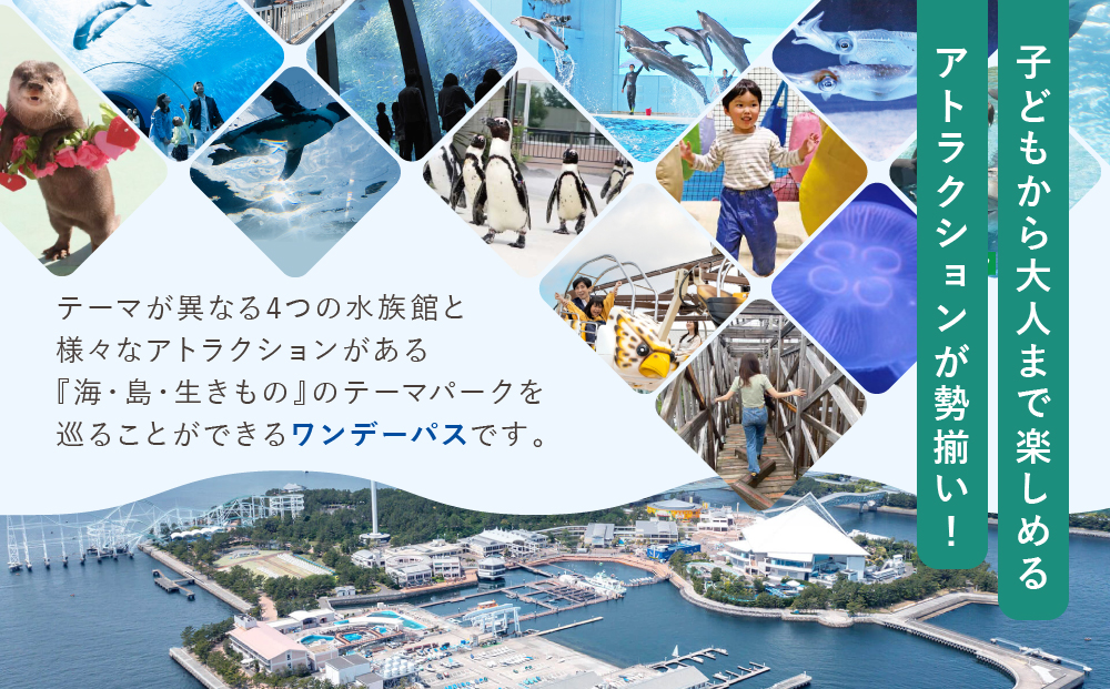 横浜・八景島シーパラダイス　ワンデーパス（水族館4施設＋アトラクション）大人2名さま＋小中学生2名さま