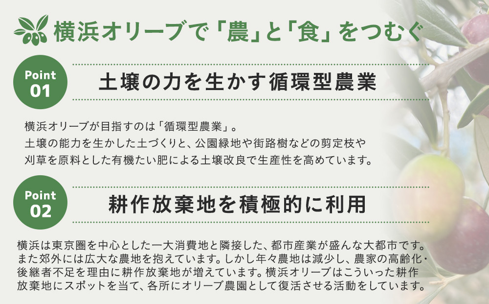 横浜オリーブ　No.５ビエントフレスコ　エクストラバージンオリーブオイル120ml