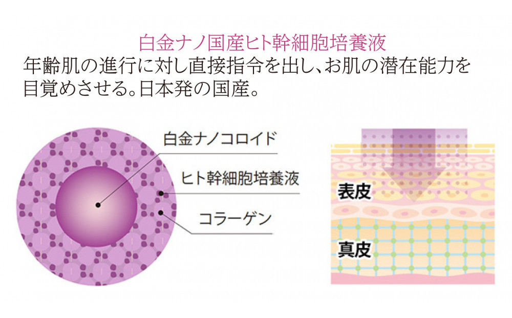 ストレピア　プラチナリフティフェイスクリーム