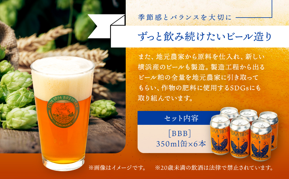 TDM 1874 Brewery クラフトビール　BBB（British Best Bitter）（350ml×6本）【お酒・地ビール・酒】