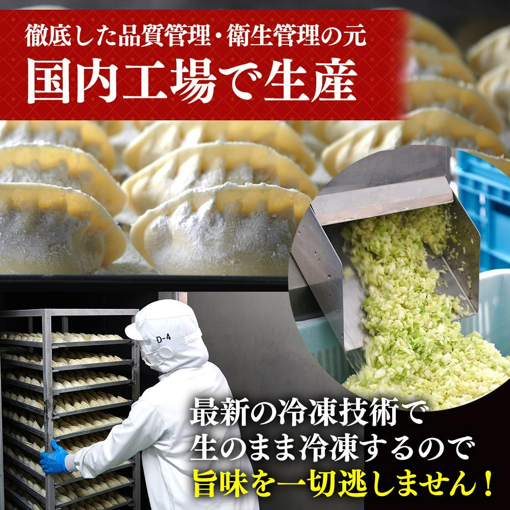 全て国産食材、銘柄豚使用！肉汁あふれる！【横浜大宝餃子】もちもち国産ジャンボ大宝餃子120個（30個×4）老舗餃子メーカー 横浜中華 焼餃子 冷凍餃子 ギョーザ ぎょうざ 大きい 中華 おかず 惣菜 ギフト プレゼント
