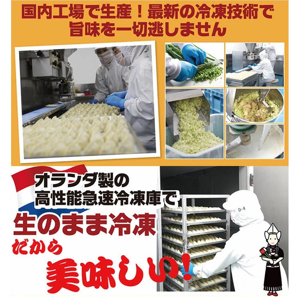 全て国産食材！肉汁あふれる！海老ぎっしり！【横浜大宝餃子】もちもち国産ジャンボ焼き餃子30個と海老餃子20個セット 老舗餃子メーカー 横浜中華 焼餃子 冷凍餃子 ギョーザ ぎょうざ 大きい 中華 おかず 惣菜 ギフト プレゼント