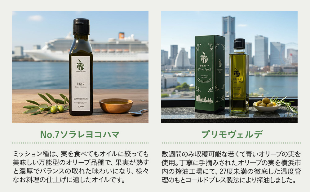 横浜オリーブ　The First　エクストラバージンオリーブオイル　100ml