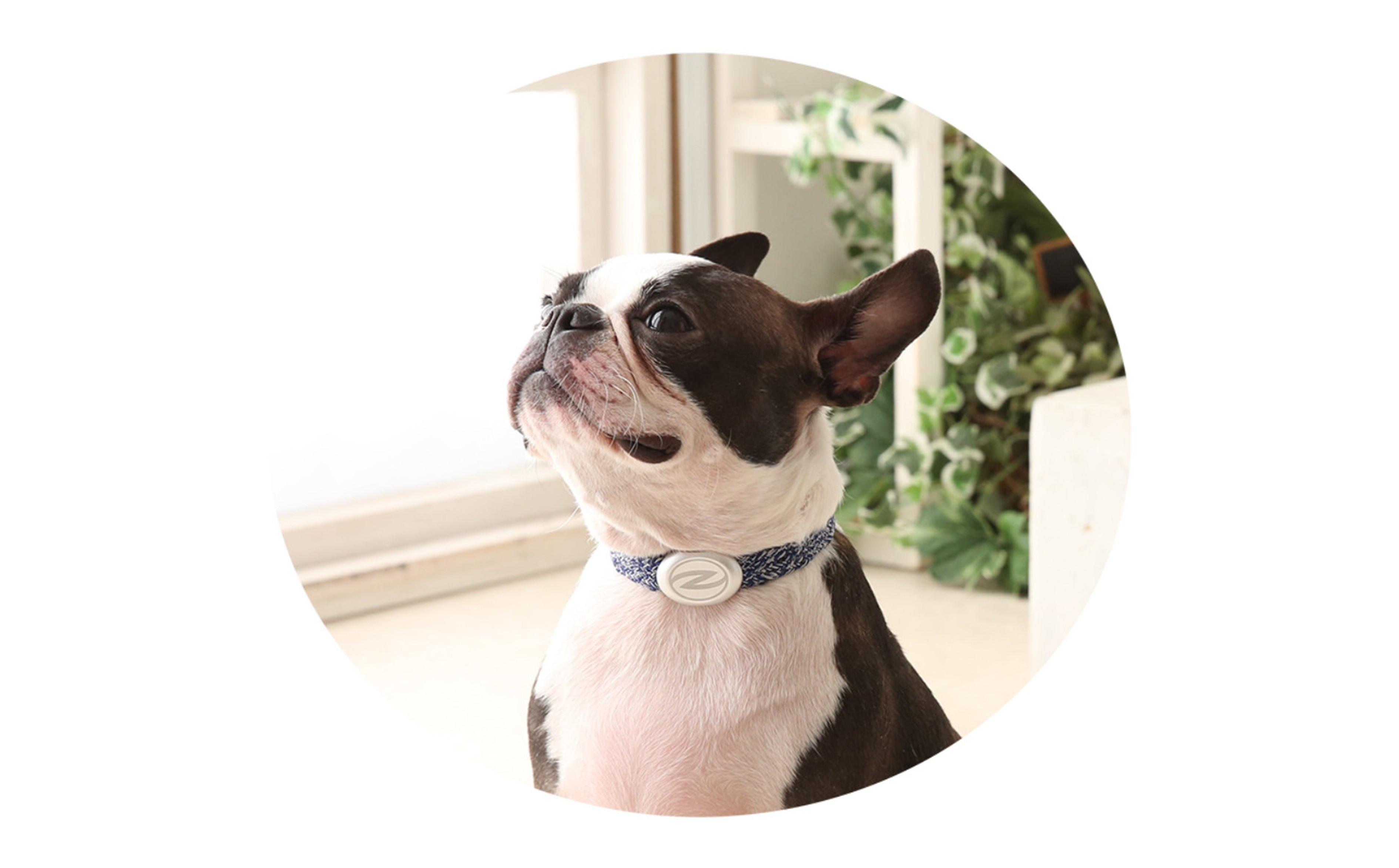 縲心ize31cm縲代じ繧ェ繝ゥ繝ォ繝サ繝ェ繧ォ繝舌Μ繝シホア繝舌Φ繝 NV/SIス懈ィェ豬懷ク 鬮俶ゥ溯ス繝舌Φ繝 繝壹ャ繝育畑繧「繧ッ繧サ繧オ繝ェ繝シ