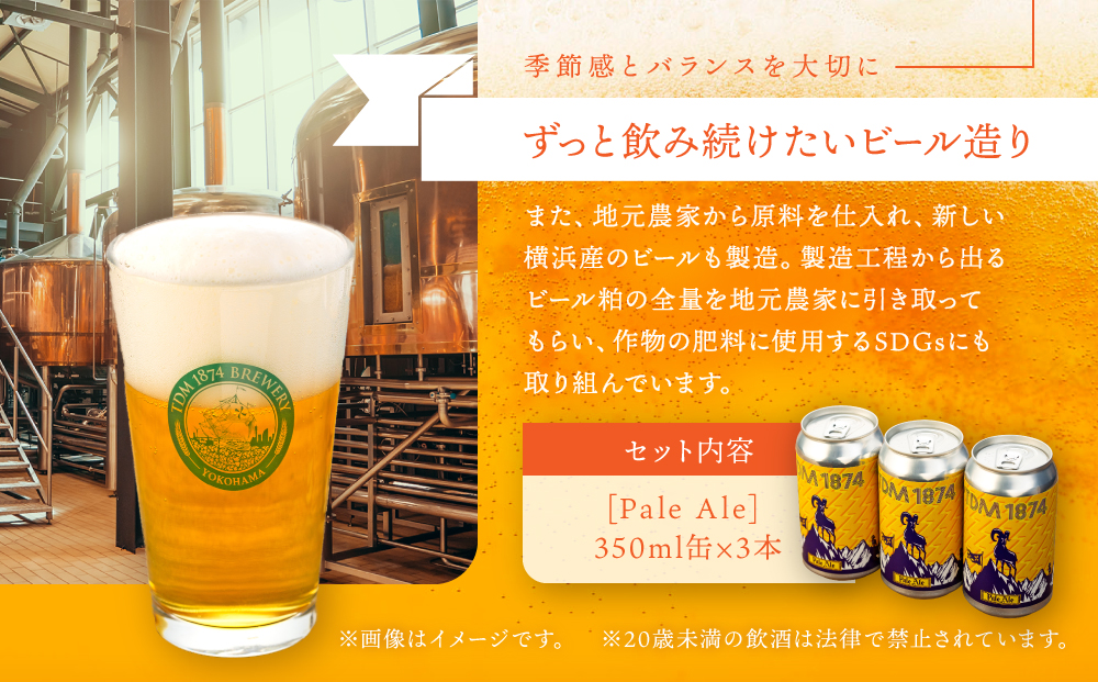 TDM 1874 Brewery クラフトビール Pale Ale ペールエール (350ml×3本)【お酒・地ビール・酒】