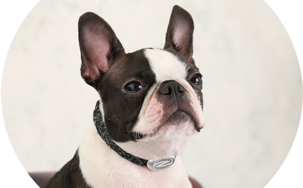 縲心ize27cm縲代じ繧ェ繝ゥ繝ォ繝サ繝ェ繧ォ繝舌Μ繝シホア繝舌Φ繝 BK/SIス懈ィェ豬懷ク 鬮俶ゥ溯ス繝舌Φ繝 繝壹ャ繝育畑繧「繧ッ繧サ繧オ繝ェ繝シ