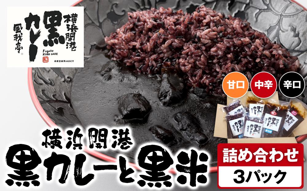 風我亭の横浜開港黒カレーと黒米の詰め合わせ　3パック【辛口1個、中辛1個、甘口1個】