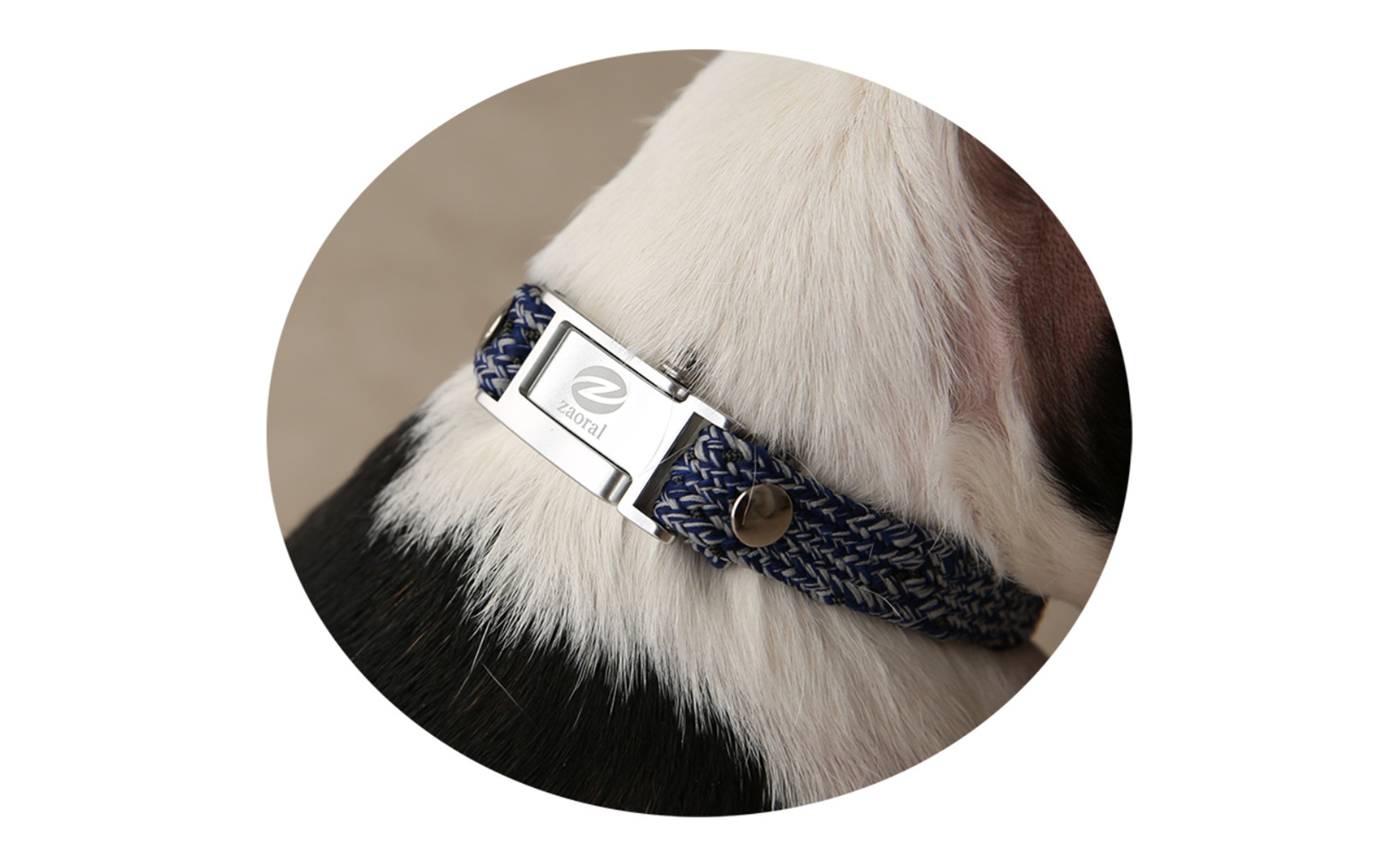 縲心ize27cm縲代じ繧ェ繝ゥ繝ォ繝サ繝ェ繧ォ繝舌Μ繝シホア繝舌Φ繝 NV/SIス懈ィェ豬懷ク 鬮俶ゥ溯ス繝舌Φ繝 繝壹ャ繝育畑繧「繧ッ繧サ繧オ繝ェ繝シ