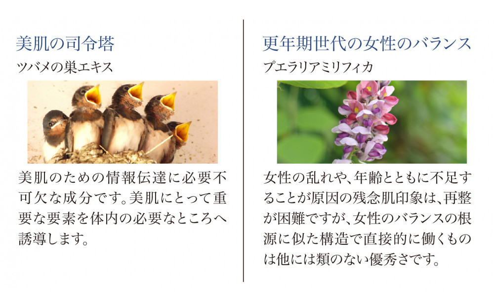 ストレピア　プラチナリフティアイクリーム